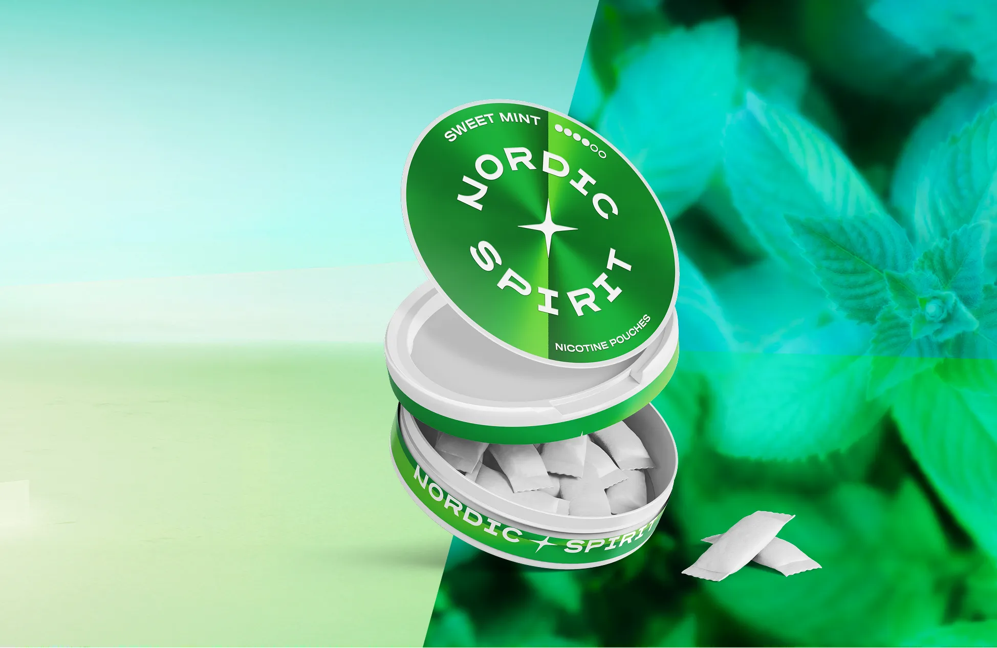 Nordic Spirit Kullanım İpuçları